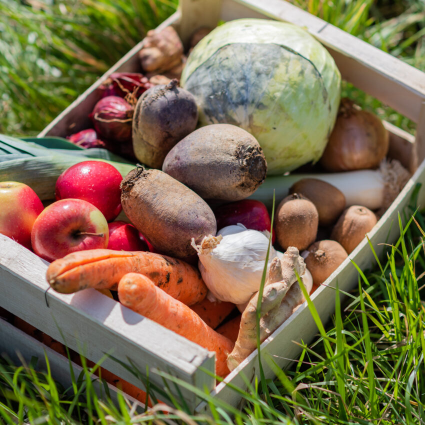 Cagette de légumes anti-gaspi