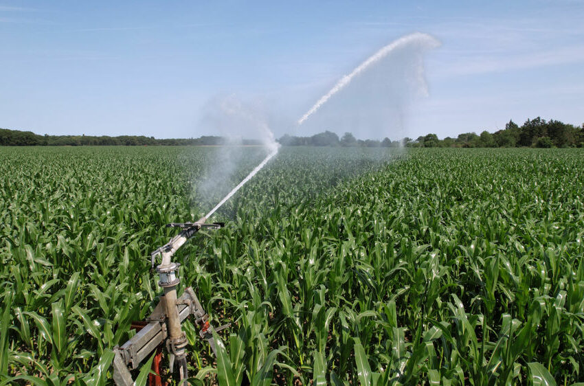 irrigation agricole
